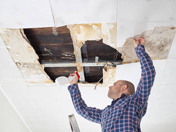 Best Water Damage & Mold Remediation  in Brockton, MA